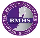 BMHS Logo