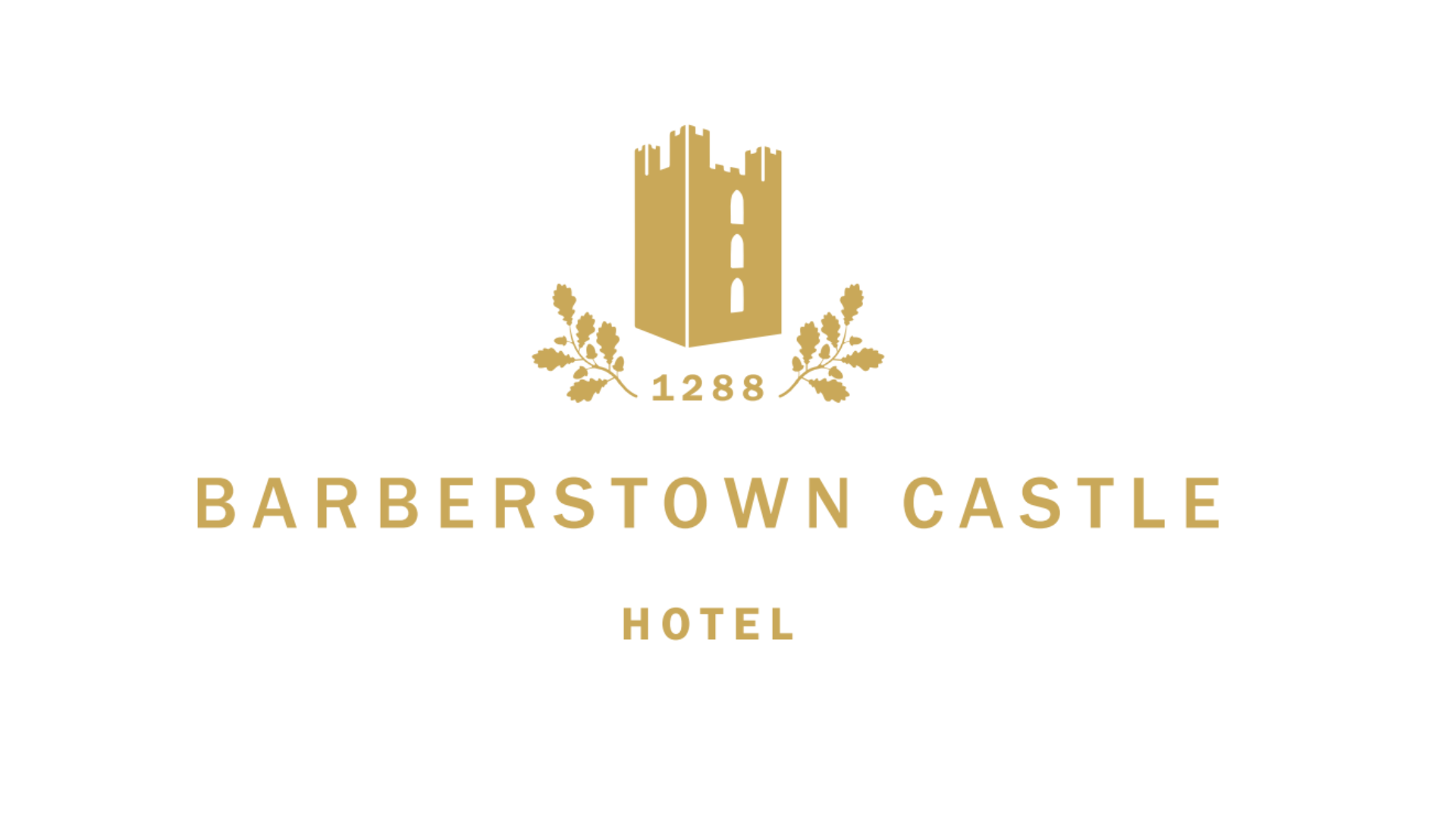 Barberstown Castle logo