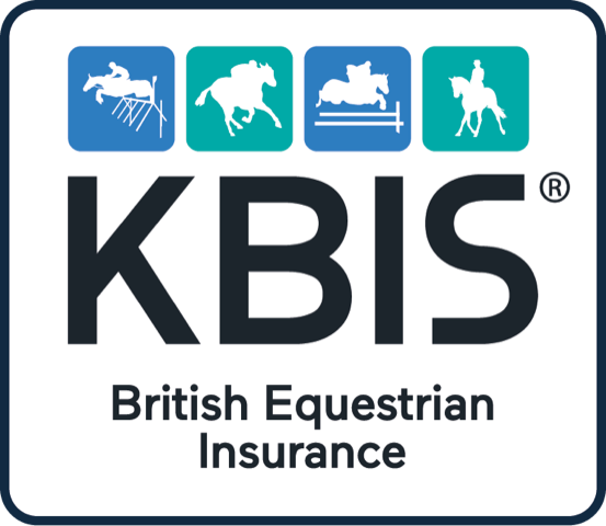 KBIS Young Dressage Horse